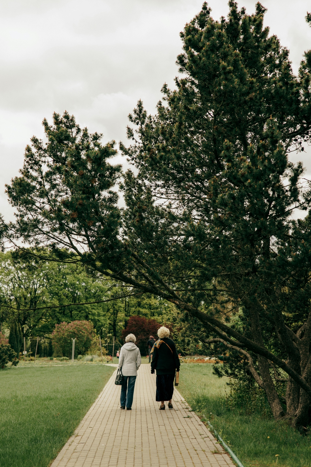 two ladys walking in the park